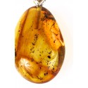 Silver pendant with amber inclusion "Stopped Time"