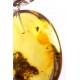 Silver pendant with amber inclusion "Stagnated in Florescence"