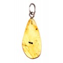 Amber pendant with a silver loop "The Patterns of the Past"