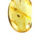 Amber inclusion with a silver loop