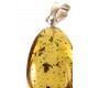 Baltic amber pendant with inclusions