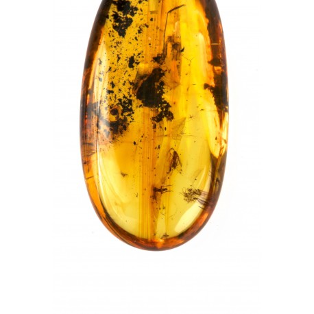 Clear Baltic amber with inclusions