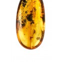 Clear Baltic amber with inclusions