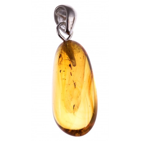 Amber pendant with an inclusion