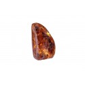 Amber nugget with an inclusion
