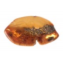 Antique amber brooch