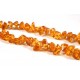 Children caramel shades colored transparent amber necklace