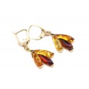 Amber - gold earrings "Reassuring touch"