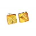 Gold - amber earrings with inclusions "Mystical Kingdom"