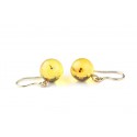 Gold - amber earrings with inclusions