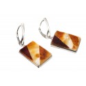 Silver - amber earrings "Birth"
