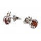 Earrings "Ladybirds"
