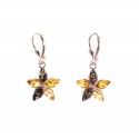Amber-silver earrings