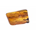 A transparent piece of amber with an inclusion of a fly