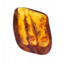 Cognac amber nugget with fly