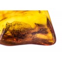 A clear piece of amber with an inclusion