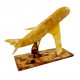 Amber airplane