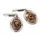Oval brass earrings